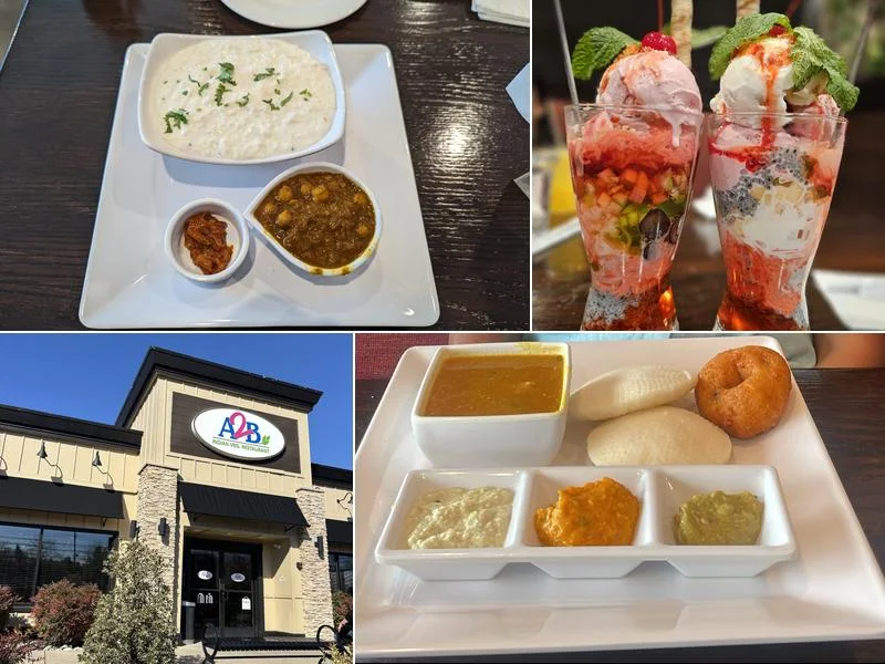 A2B Indian Veg Restaurant - Princeton business photo