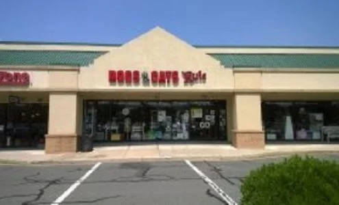 Dogs & Cats Rule business photo