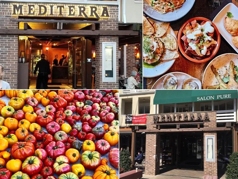 Mediterra Restaurant & Taverna business photo